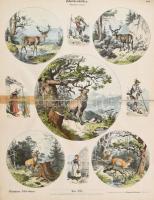 cca 1883-1884 Münchener Bilderbogen 37. München,én., Braun & Schneider, 817-824,827,864-889 t. A...