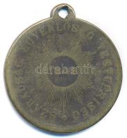 DN "Kossuth Lajos / Szabadság, Egyenlőség, Testvériség 1848" kétoldalas bronz emlékérem fü...