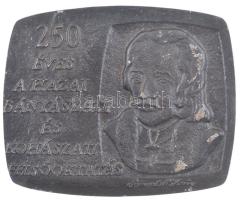 1985. 250 éves a hazai bányászati és kohászati felsőoktatás - Samuel Mikoviny bronz emlékplakett (107x88mm) T:2