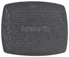 1985. "250 éves a hazai bányászati és kohászati felsőoktatás - Samuel Mikoviny" bronz emlé...