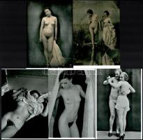 Szolidan erotikus felvételek különböző időpontokból, 5 db modern nagyítás, 15x10 cm