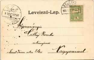1905 Belényes, Beius; látkép, Görögkeleti fiúinternátus, Erzsébet tér, üzlet. Süssmann L. kiadása / ...