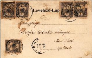 1901 Nagyszalonta, Salonta; Csonka torony, Arany János szülőháza, Artézi kút, Római katolikus templo...