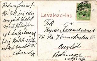 1910 Boksánbánya, Németbogsán, Deutsch-Bogsan, Bocsa Montana; A szanatórium kert részlete. W.L. 123....