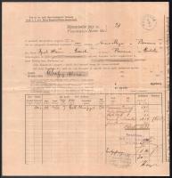 1900 DDSG (Első Dunagőzhajózási Tárasaság) díjmentesítő jegy / DDSG frankatur note