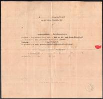 1900 DDSG (Első Dunagőzhajózási Tárasaság) díjmentesítő jegy / DDSG frankatur note