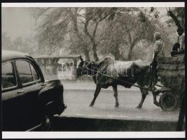 cca 1951 India, közlekedés esős időben, 1 db modern nagyítás, 17,7x23,8 cm
