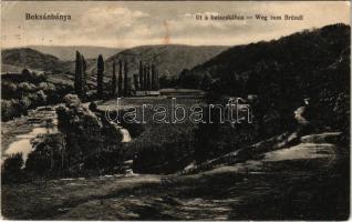 1918 Boksánbánya, Németbogsán, Deutsch-Bogsan, Bocsa Montana; út a kutacskához / Weg zum Bründl / road (EK)