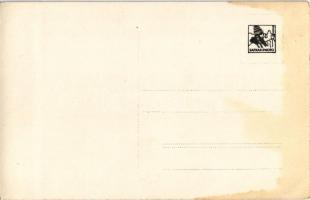 Menyháza, Monyásza, Moneasa; Vila Cianad / Csanádi villa / villa, spa. photo (fl)