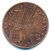 Fritz Mihály (1947-) 1988. "Wesselényi Miklós - A nagy árvíz emlékére / Pesti árvíz 1838" ...