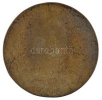 Tőrös Gábor (1934-2021) DN "József Attila 1905-1937" bronz emlékérem (118mm) T:1-