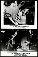 cca 1973 ,,A Sakál napja című angol - francia bűnügyi film jelenetei és szereplői, 11 db vintage produkciós filmfotó, ezüst zselatinos fotópapíron, a használatból eredő (esetleges) kisebb hibákkal, 18x24 cm