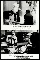 cca 1973 ,,A Sakál napja" című angol - francia bűnügyi film jelenetei és szereplői, 11 db vinta...