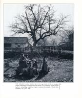 Korniss Péter - Novák Ferenc: Tiszta forrásból. Bp., 1997., Planétás. Gazdag képanyaggal illusztrált...