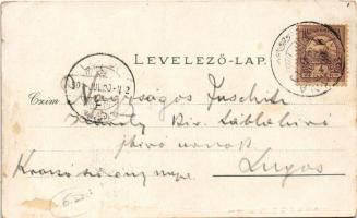 1901 Vízakna, Salzburg, Ocna Sibiului; fürdő. Karl Graef kiadása / spa, bath (Rb)