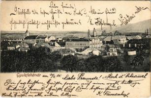 1905 Gyulafehérvár, Karlsburg, Alba Iulia; látkép. Petri F. Vilmos kiadása / general view (EK)