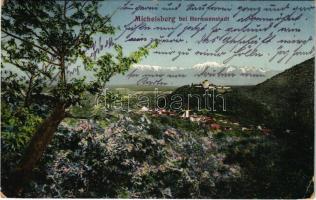 1914 Kisdisznód, Michelsberg, Cisnadioara; látkép. Chromophot. v. Jos. Drotleff / general view (fa)