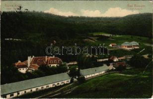 1917 Bázna, Felsőbajom, Bad Baassen, Baiumul de Sus; látkép, fürdő. Grünwald J. kiadása / general view, spa (EB)