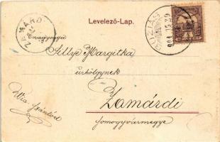 1901 Buziásfürdő, Baile Buzias; Gyógyterem, bazár, sétány a meleg fürdőhöz. Kossak József udvari fén...