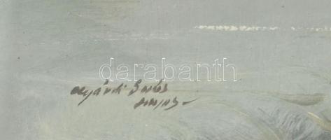 Agárdi Soós Lajos (működött a XX. sz elején-közepén): Tehénpásztorlány. Olaj, karton, jelzett. Hátol...