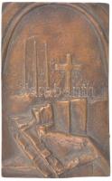 DN 25 éves a Somogyiak Baráti Köre egyoldalas bronz emlékplakett (90x55mm) T:1-