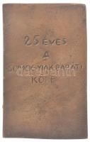 DN "25 éves a Somogyiak Baráti Köre" egyoldalas bronz emlékplakett (90x55mm) T:1-