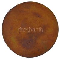 Farkas Pál (1947-) 1989. "Csokonai Asztaltársaság Hévíz 1989. VIII.5." egyoldalas bronz em...