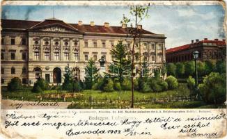 1902 Budapest VIII. Ludoviceum. Walter Haertel Nr. 162. (szakadások / tears)