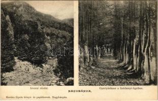 1909 Nagybánya, Baia Mare; Izvorai részlet, Gyertyánfasor a Széchenyi ligetben. Kovács Gyula kiadása / forest