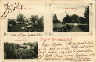 1910 Bikszád-fürdő, Baile Bixad; Orient szálloda, park, Móricz-lak. Czettel és Deutsch kiadása / hotel, park, villa. Art Nouveau (fl)