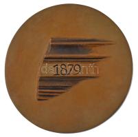 1979. 1879 - tiszai árvíz egyoldalas bronz emlékérem (119mm) T:1