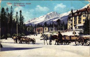 1913 Tátrafüred, Ótátrafüred, Altschmecks, Stary Smokovec (Tátra, Magas Tátra, Vysoké Tatry); Nagyszálló télen. Cattarino S. utóda Földes Samu kiadása 238. sz. / Grand-Hotel / hotel in winter, horse-drawn carriages (EK)