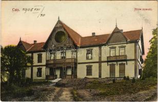 1908 Csíz, Csízfürdő, Kúpele Cíz; Milán nyaraló. Kohn Adolf kiadása / villa (EK)