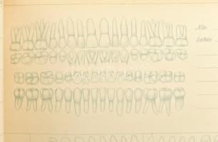 cca 1900 Fogorvosi kezelések nyilvántartó könyve. Korabeli haránt-alakú félvászon-kötés, kopott, fol...