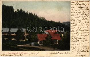 1910 Gyertyánliget, Polyána-Gyertyánliget, Kabola Polyána, Kobyletska Poliana (Máramaros, Maramures); fürdő / spa (EK)
