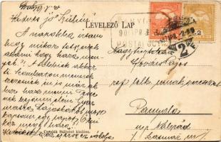 1909 Szatmárnémeti, Szatmár, Satu Mare; Református főgimnázium. Cseplák Bálintné kiadása / Calvinist...