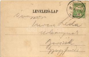 1906 Brassó, Kronstadt, Brasov; Sommerfrische Noa, Zeile an der ersten Wiese / Noa nyaraló, Házsor a...