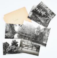 cca 1970 Arborétum/ park fotói, (talán a martonvásári kastély park) 21 fekete-fehér fotó, közte 2 azonosítatlan épületfotói is, 9x12 cm és 18x13 cm közötti méretben