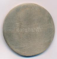 Magdányi Antal (1902-?) 1943. "Magyar Testnevelő Tanárok Országos Egyesülete" bronz plaket...