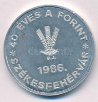 1986. "MÉE ALBA REGIA NUM. CSOP. / 40 éves a forint - Székesfehérvár" Al emlékérem (40mm) ...