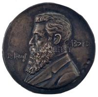 Izrael? DN "Herzl Tivadar" jelzett Ag lemezplakett (1,96g/800/42mm) T:2 patina Israel? ND "Theodor Herzl" hallmarked Ag sheet metal plaque (1,96g/800/42mm) C:XF patina