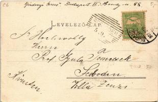 1902 Budapest I. Buda látképe, Királyi vár, "SALZACH" oldalkerekes vontató gőzhajó. Ganz A...