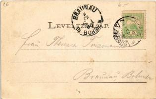 1900 Budapest I. Buda látképe a Lánchídfőtől. Fénynyomat Divald műintézetéből 127. (EK)