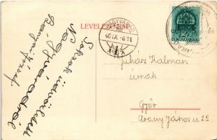 Győr, Schwarzenberg hercegi család címe a győri pasa szemét vájó hollóval. Segélylap a Pálffy és Sch...