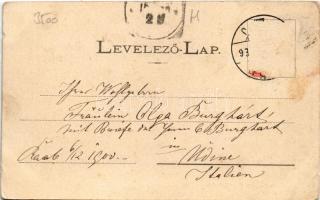 Győr, Sétatér. Berecz Viktor kiadása (EB)