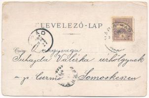 1900 Lippa, Lipova; Fő utca, Grosz nővérek üzlete / main street, shops (szakadások / tears)