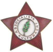 1953. A Szocialista Kultúráért zománcozott kitüntető jelvény, eredeti tokban T:1