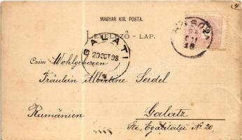 1898 (Vorläufer) Orsova, Ada Kaleh, Vaskapu, Greben. G. Hutterer Art Nouveau, floral (EB)