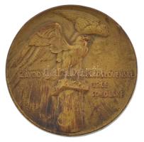 Csehszlovákia 1936 Sokol mozgalom bronz sportérem eredeti tokban. Szign.: Horejc Jaroslav (35mm) T:1-,2 Czechoslovakia 1936 Sokol Movement bronze sport medal, in original case. Sign.: Horejc Jaroslav (35mm) C:AU,XF