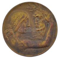 Csehszlovákia 1936 Sokol mozgalom bronz sportérem eredeti tokban. Szign.: Horejc Jaroslav (35mm) T:1...